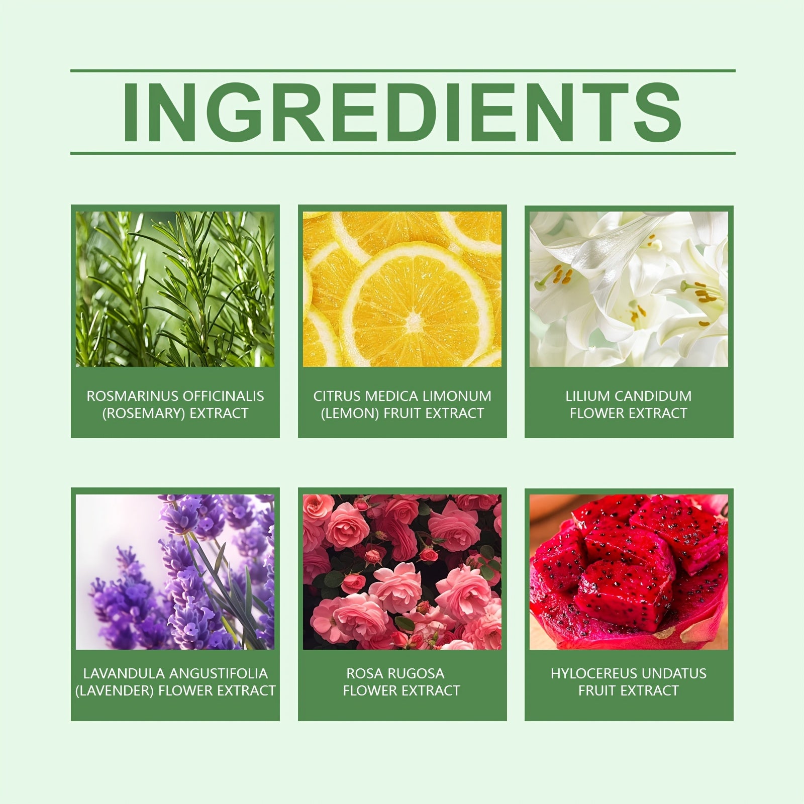 Aromatic Bubble Bath Ball 12pcs - 2boxes, Gently Cleanses And Moisturizes The Body Skin, Long-lasting Plant Fragrance, Spring Skin Care Bath Ball, Suitable For All Skin Types, An Excellent Gift For Family, Suitable For Indoor