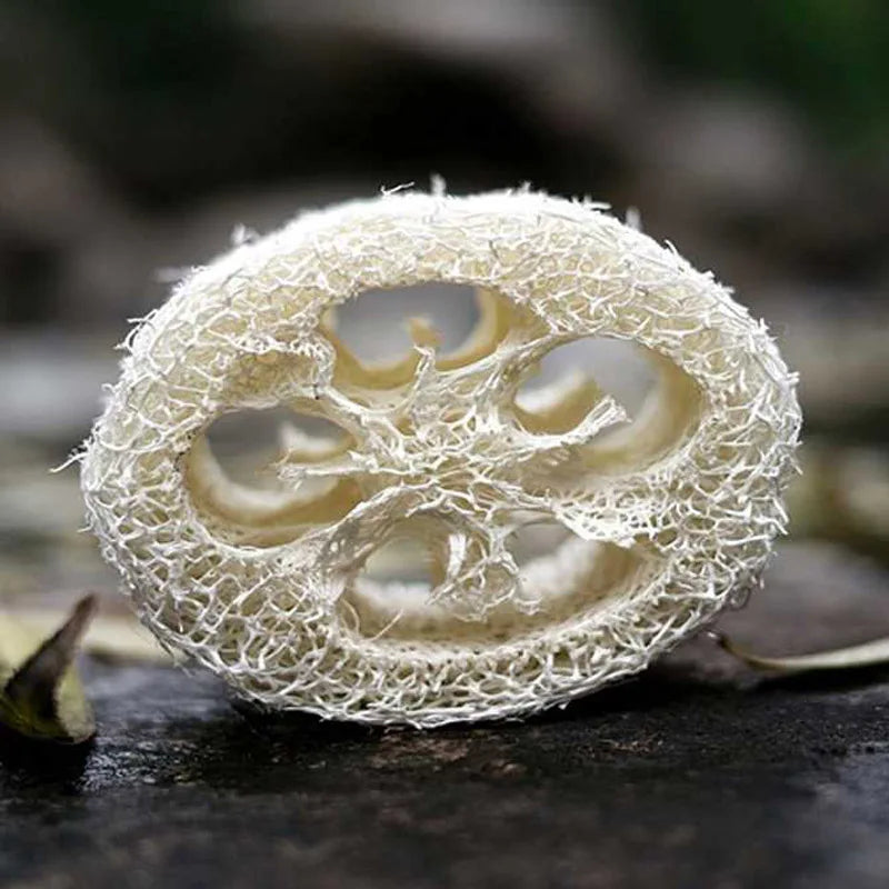 100pcs/lot 2cm Thick 6-8cm wide Natural Loofah Luffa Slice DIY Customize Soap tools Cleaner Sponge Scrubber Soap Holder