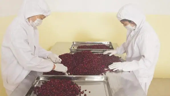 Real Dried Rose Petals Natural Dry Flower Fragrant Bath Spa Shower Tool Whitening Bath Beauty Body Foot Skin Care 5g/bag