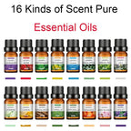 16 Kinds of Scent Pure Essential Oils Diffuser Oils LAVENDER TEA TREE LEMON ROSE OCEAN SANDAL WOOD EUCALYPTUS CHERRY BLOSSOMS