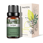 PHATOIL Natural Plant Essential Oil 10ml Eucalyptus Lavender Bergamot Vanilla Peppermint 1PCS Aroma Essential Oils For Diffuser