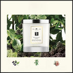 200g Aromatherapy Candle Gift Set Natural Plant Fragrance Home Indoor Odor Removal / Relaxing Help with Sleep / Birthday Gift