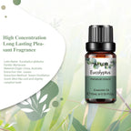 PHATOIL Natural Plant Essential Oil 10ml Eucalyptus Lavender Bergamot Vanilla Peppermint 1PCS Aroma Essential Oils For Diffuser