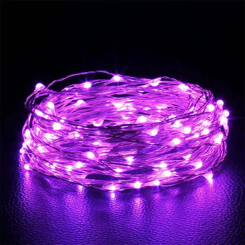 LED Fairy Lights String Button Battery Light Home Decoration Living Bedroom Garden Christmas Wedding New Year Ornament Garland
