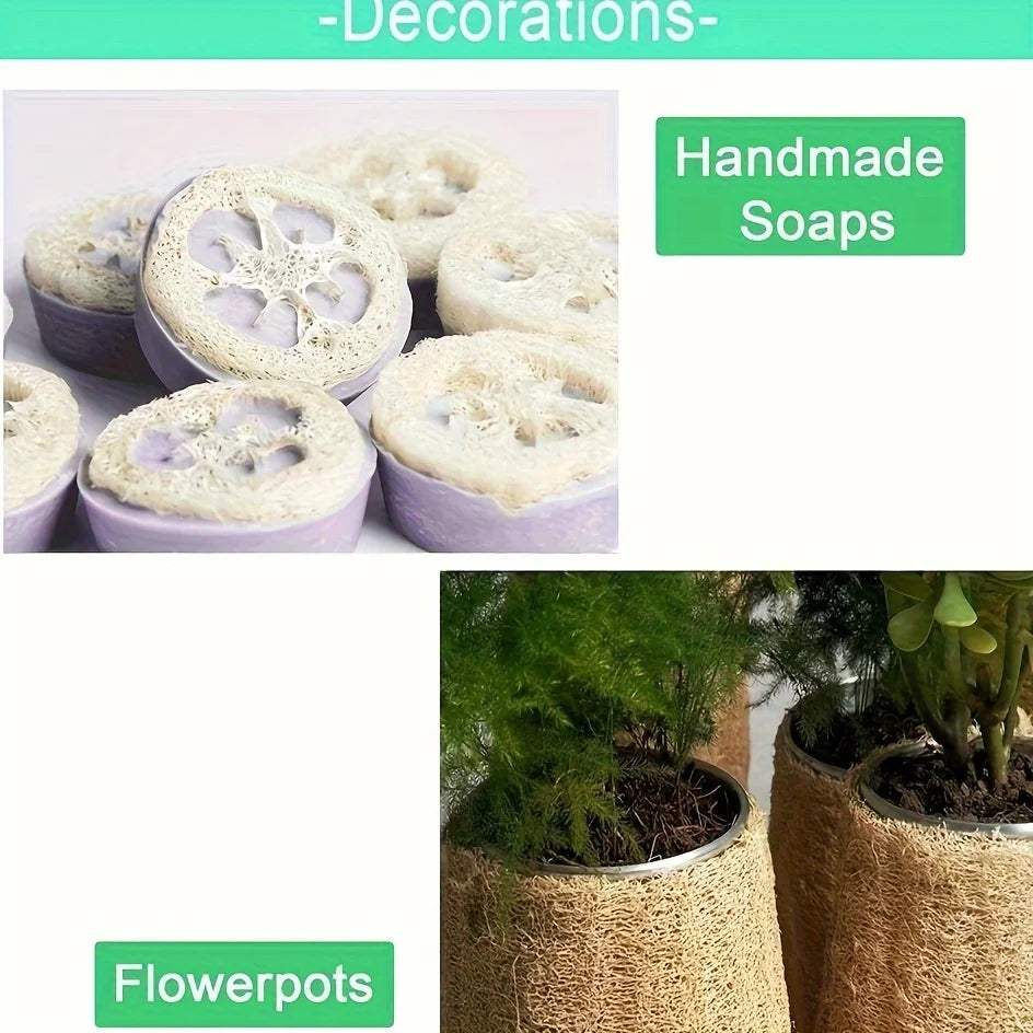 5Pcs Natural Loofah Dishcloth - High Quality Fiber Kitchen and Bathroom Cleaning Sponge, Ideal for Exfoliating and Removing Stai