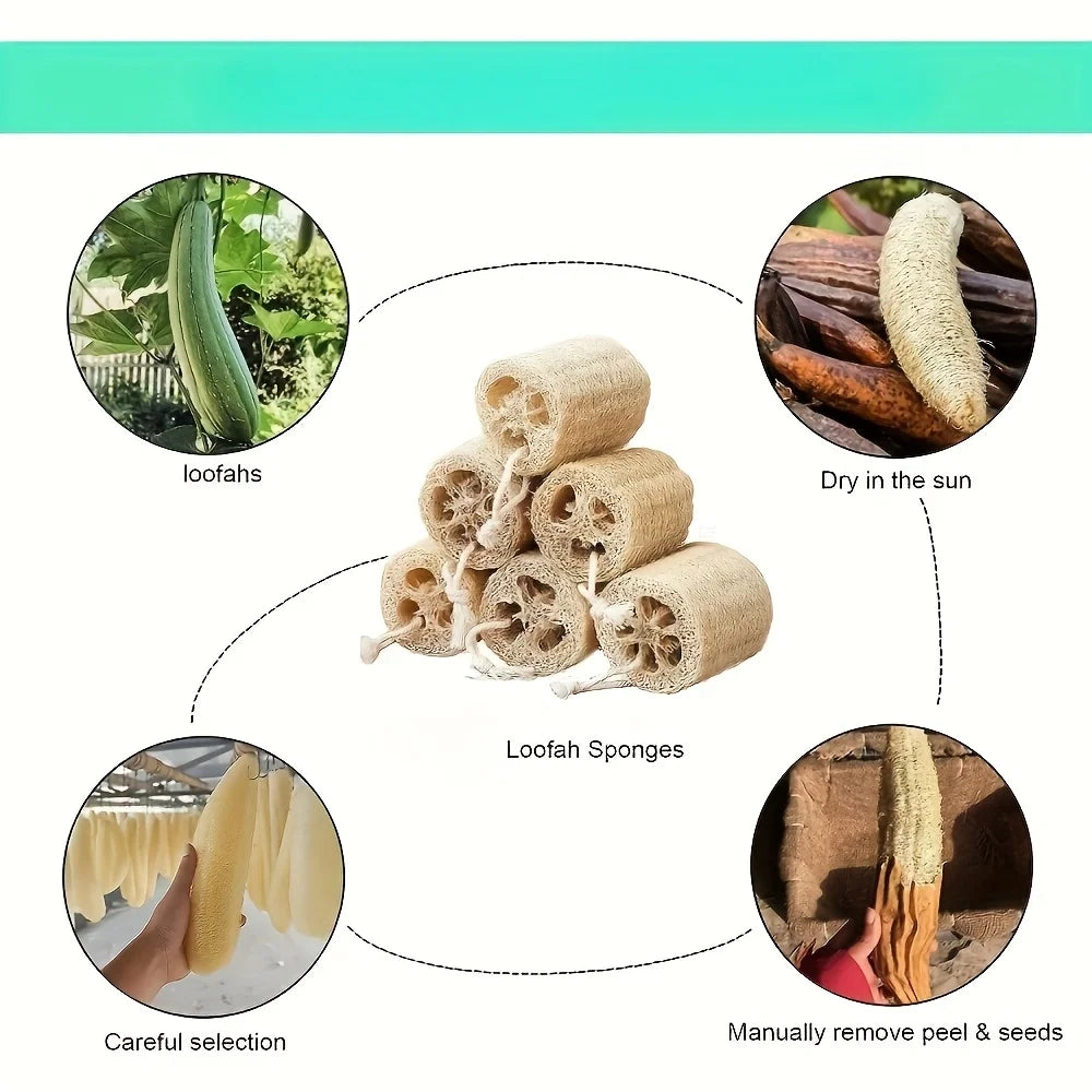 5Pcs Natural Loofah Dishcloth - High Quality Fiber Kitchen and Bathroom Cleaning Sponge, Ideal for Exfoliating and Removing Stai