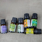 15 Flavors Essential Oils for Aroma Diffuser Air Humidifier Home Water-soluble 10ml Air Freshener Scents Fragrance Oil Perfume
