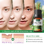 16 Kinds of Scent Pure Essential Oils Diffuser Oils LAVENDER TEA TREE LEMON ROSE OCEAN SANDAL WOOD EUCALYPTUS CHERRY BLOSSOMS