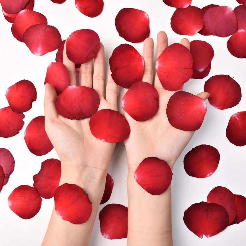 12pcs,Rose Petals Real Pressd Flower,dry Flower Material DIY Epoxy Coaster Plant Photo Frame Festival Bookmark Flower Ornament