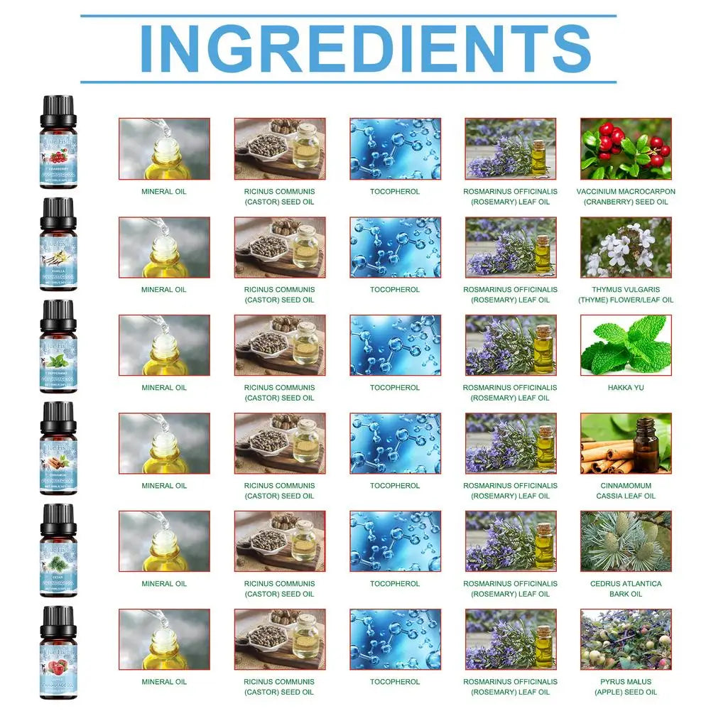 6models as pine, cinnamon, and orange For Diffusers、Candles Making Car Aromatherapy Gifts For Women