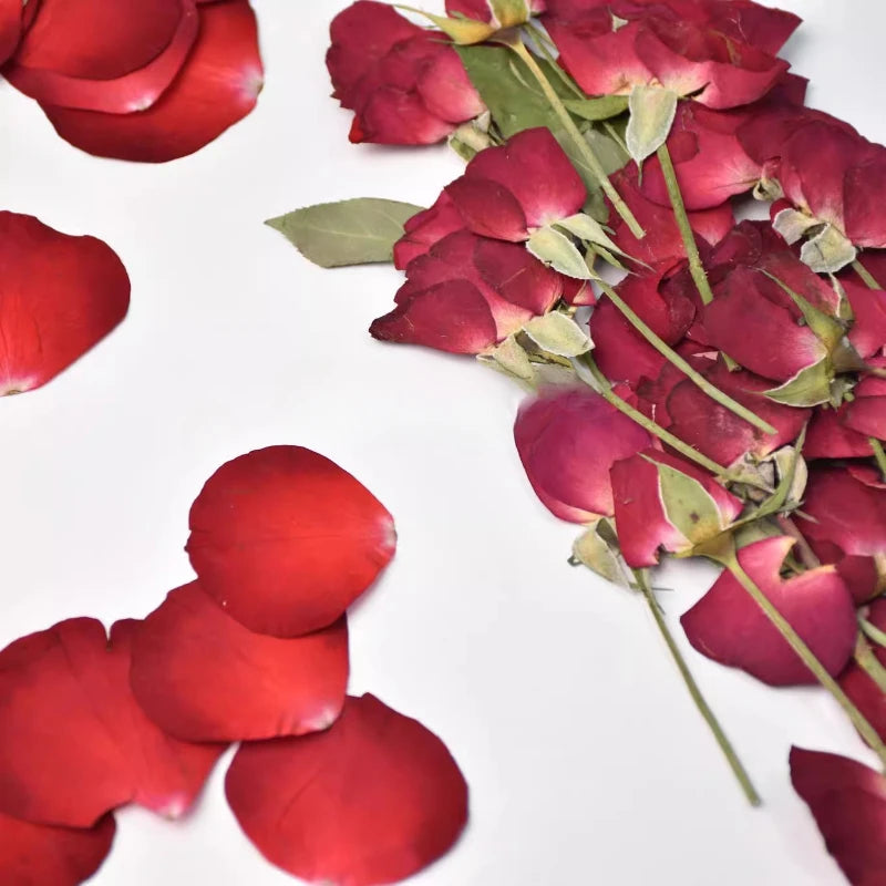12pcs,Rose Petals Real Pressd Flower,dry Flower Material DIY Epoxy Coaster Plant Photo Frame Festival Bookmark Flower Ornament