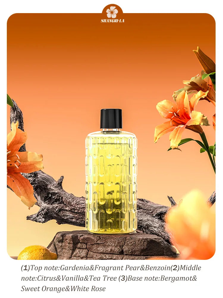 Automatic aromatherapy diffuser for eliminating odors, suitable for household use, with essential oil for air freshening.