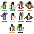 Aromatherapy Essential Oil Set Diffuser Essential Oil Car Air Freshener Scent Perfume Natural Plant Lavender Aroma Diffuser DIY