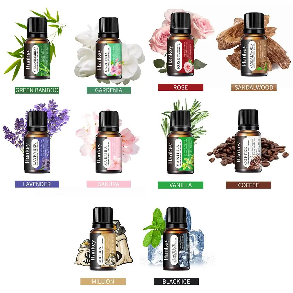 Aromatherapy Essential Oil Set Diffuser Essential Oil Car Air Freshener Scent Perfume Natural Plant Lavender Aroma Diffuser DIY