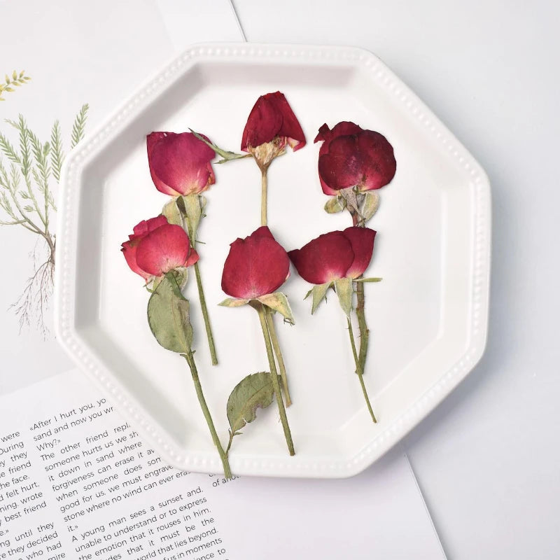 12pcs,Rose Petals Real Pressd Flower,dry Flower Material DIY Epoxy Coaster Plant Photo Frame Festival Bookmark Flower Ornament