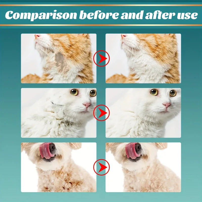 Pet wash free gloves, dogs and cats, spa bathing to remove odors, cleaning and dirt care, dry cleaning gloves, 10pcs/box