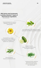 Moisturizing Body Wash Zen Wash Vegan Vegetable Extracts Minimalist Refreshing Wash Bergamot Scent Soft