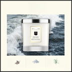 200g Aromatherapy Candle Gift Set Natural Plant Fragrance Home Indoor Odor Removal / Relaxing Help with Sleep / Birthday Gift