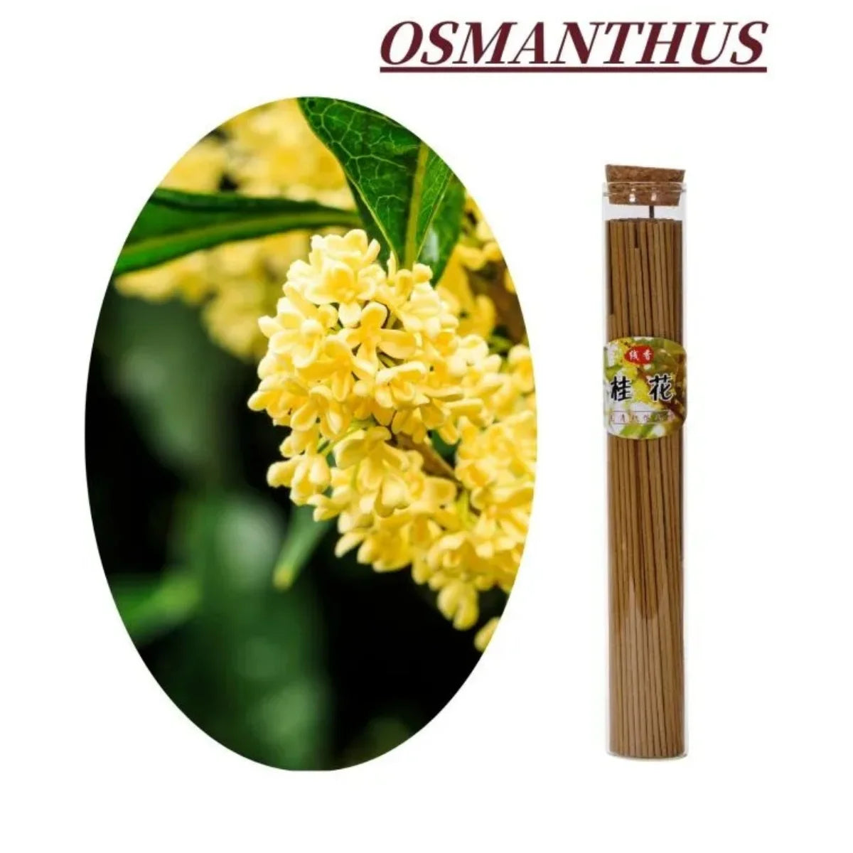 Natural Incense Stick Handmade 120Pcs/box