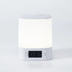 Touch Dimmable LED Night Lamp with Remote Clock Time Display or not Eye Protection Reading Lamp Bedside Night Light Rechargeable