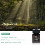 NAMSTE 2025 Reed Diffuser Oil 100ML Aromatherapy Oil Reed Diffuser Sticks Fragrance Room Flavoring Air Freshener Home Decor