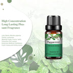 PHATOIL Natural Plant Essential Oil 10ml Eucalyptus Lavender Bergamot Vanilla Peppermint 1PCS Aroma Essential Oils For Diffuser