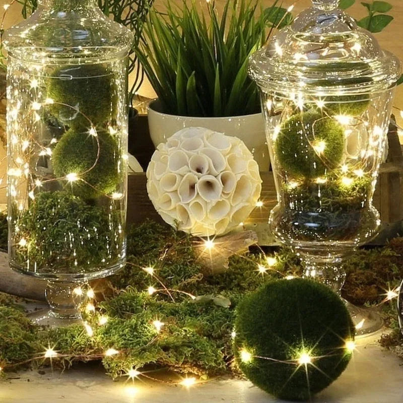 LED Fairy Lights String Button Battery Light Home Decoration Living Bedroom Garden Christmas Wedding New Year Ornament Garland