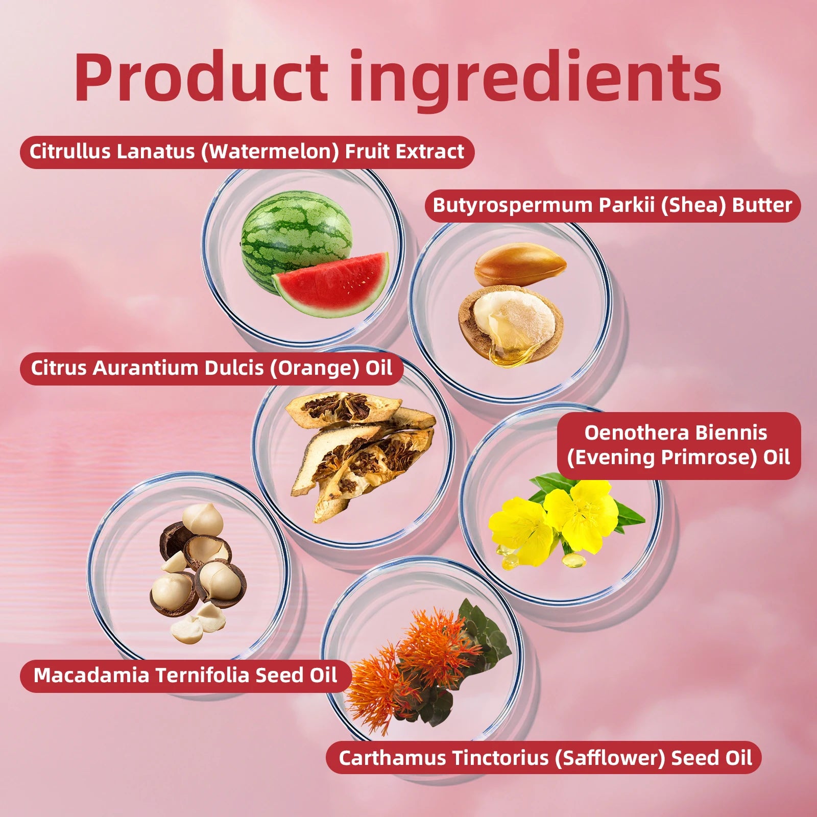 Watermelon Shea Sugar Scrub 150g - Natural Body Exfoliator, Moisturizing, Smoothing, for Elbow, Knee, Back, Leg, All Skin Types