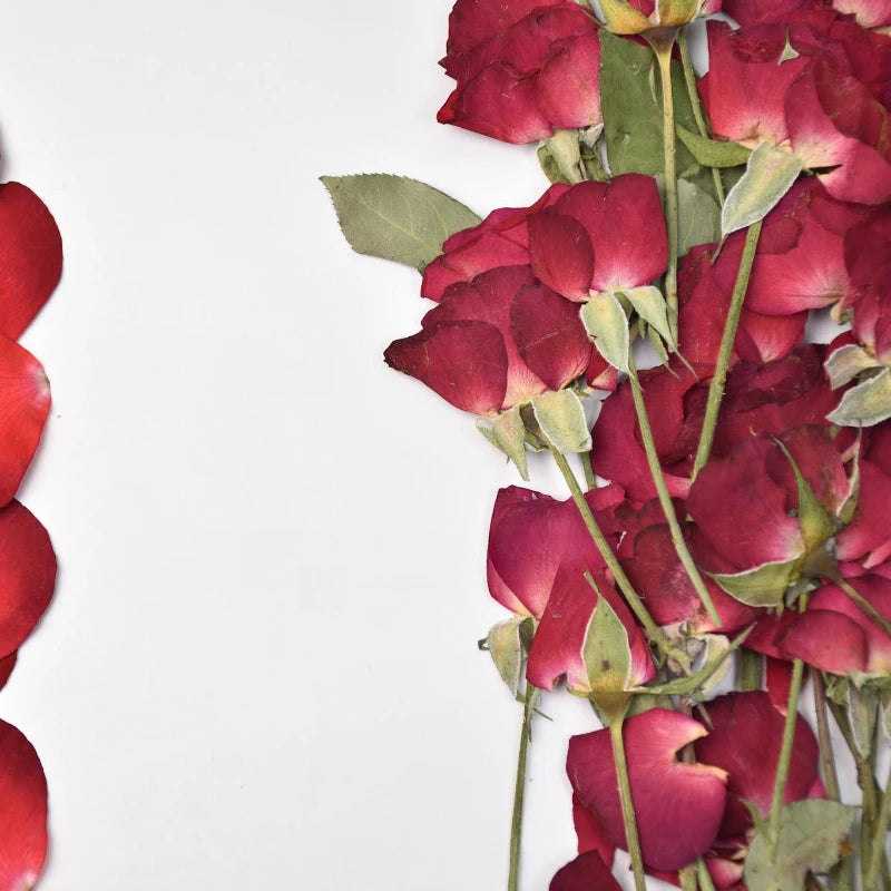 12pcs,Rose Petals Real Pressd Flower,dry Flower Material DIY Epoxy Coaster Plant Photo Frame Festival Bookmark Flower Ornament