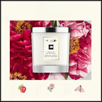 200g Aromatherapy Candle Gift Set Natural Plant Fragrance Home Indoor Odor Removal / Relaxing Help with Sleep / Birthday Gift