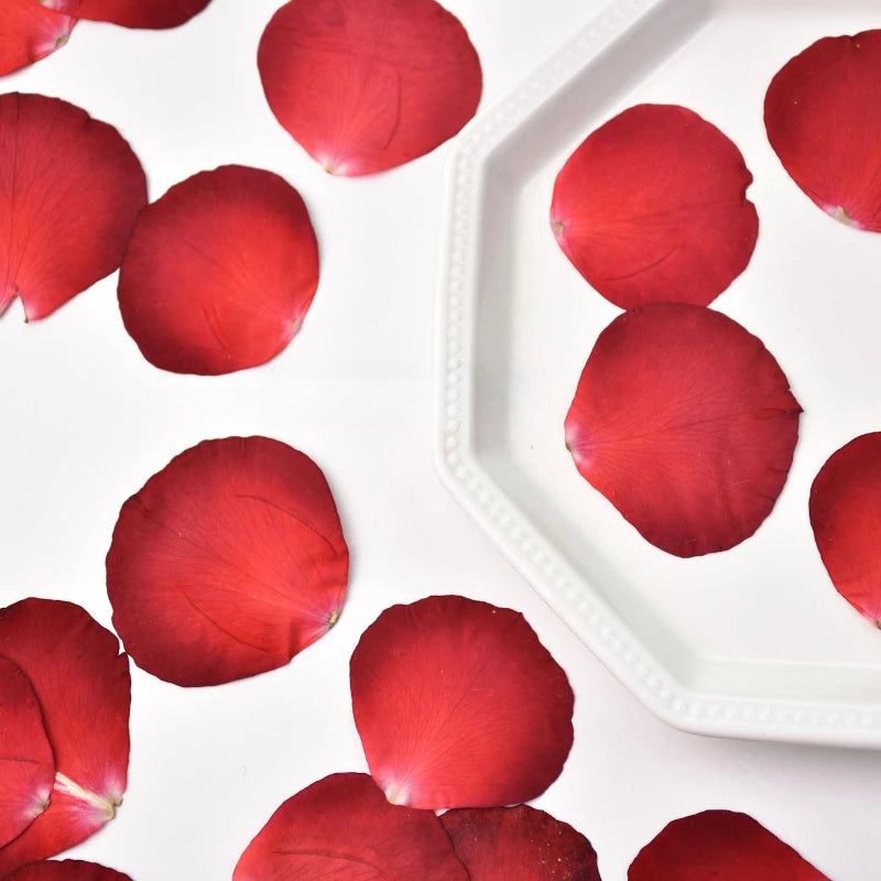 12pcs,Rose Petals Real Pressd Flower,dry Flower Material DIY Epoxy Coaster Plant Photo Frame Festival Bookmark Flower Ornament