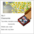 4pcs Scented Candles Christmas Fragrance Candle Christmas Gifts Small Gifts Creative Ornaments Aromatherapy Candles ﻿Party Decor